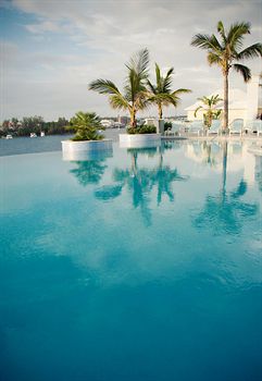 Infinity Pool